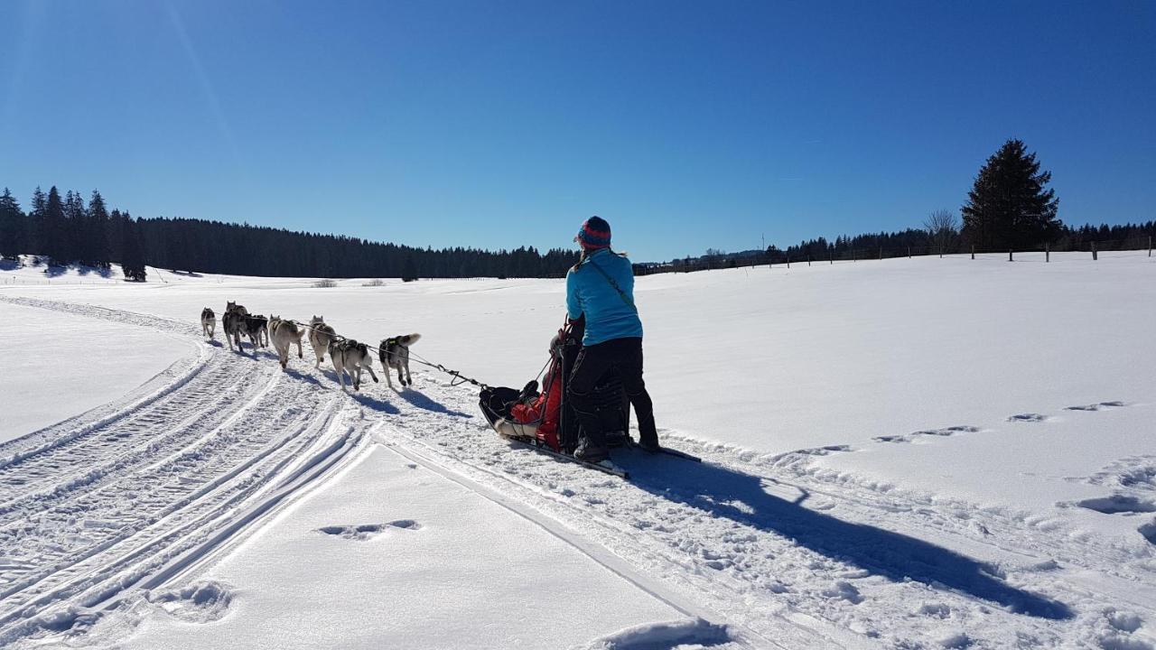 Vent_Du_Nord Lägenhet Tramelan Exteriör bild