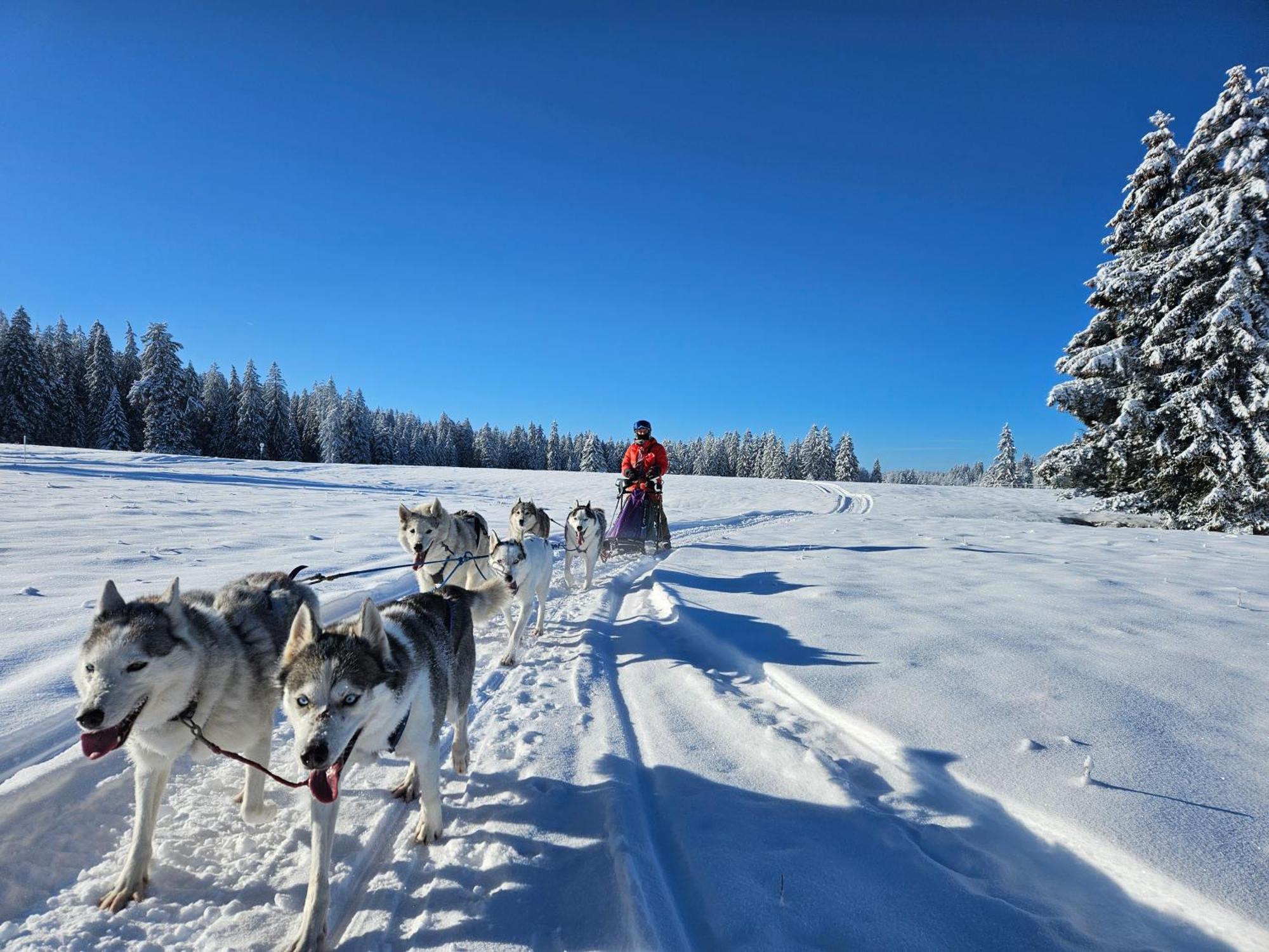 Vent_Du_Nord Lägenhet Tramelan Exteriör bild
